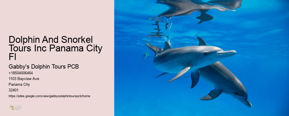 Dolphin Ride Panama City