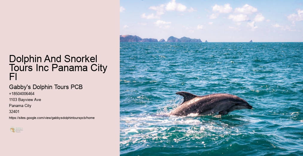 Panama City Snorkeling Shell Island