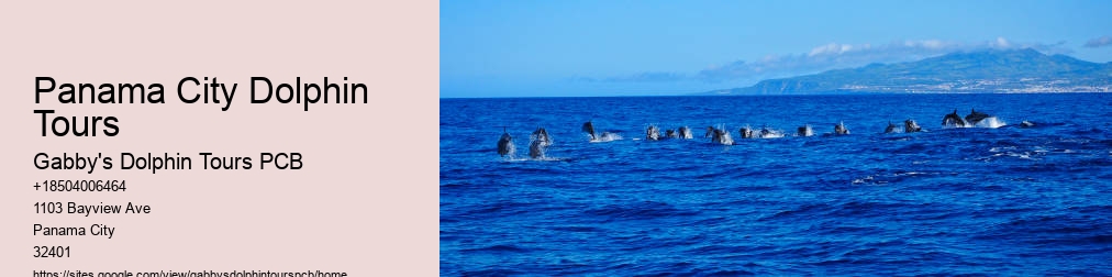 Dolphin Cruise Panama City