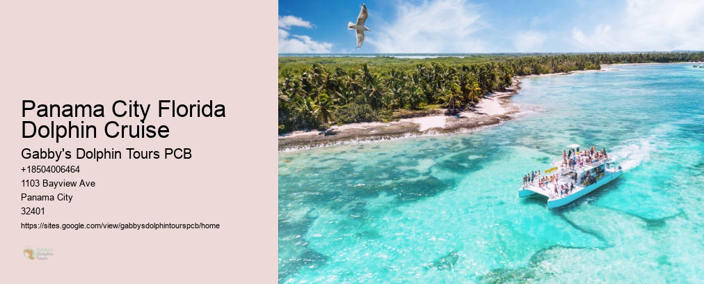 Panama City Snorkeling Shell Island