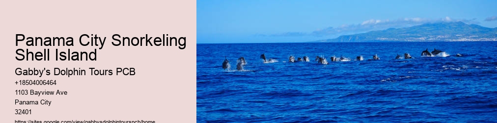 Dolphin Tours Near Me