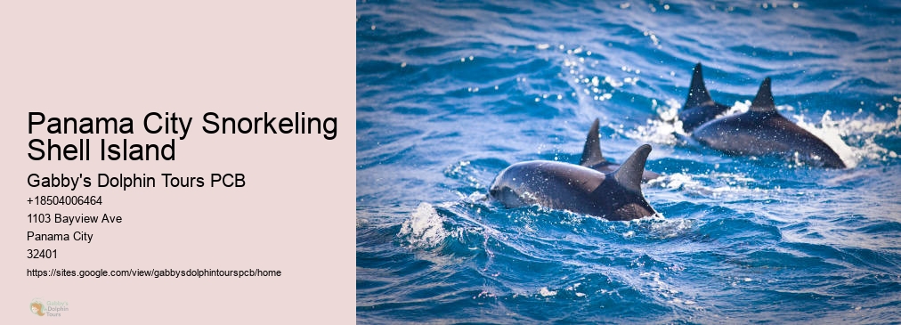 Dolphin Tours Near Me