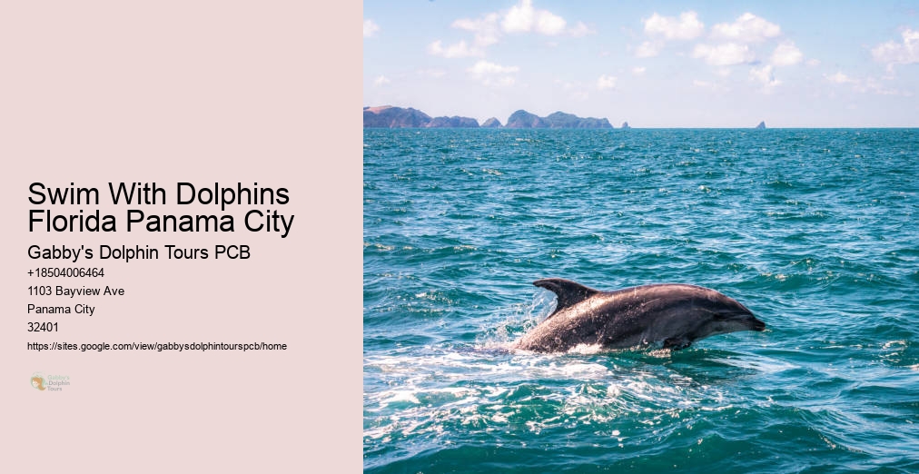 Dolphin Cruise Panama City