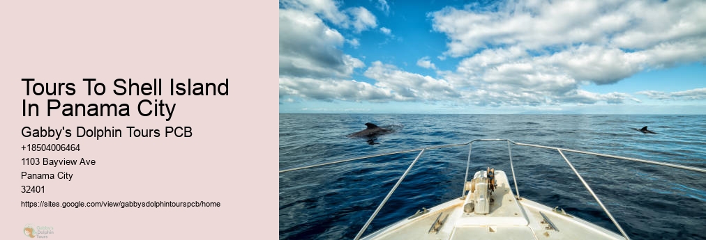 Dolphin Tours Panama City Beach Fl