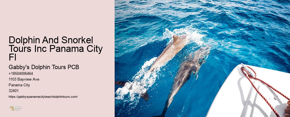 Dolphin Tours Panama City Fl