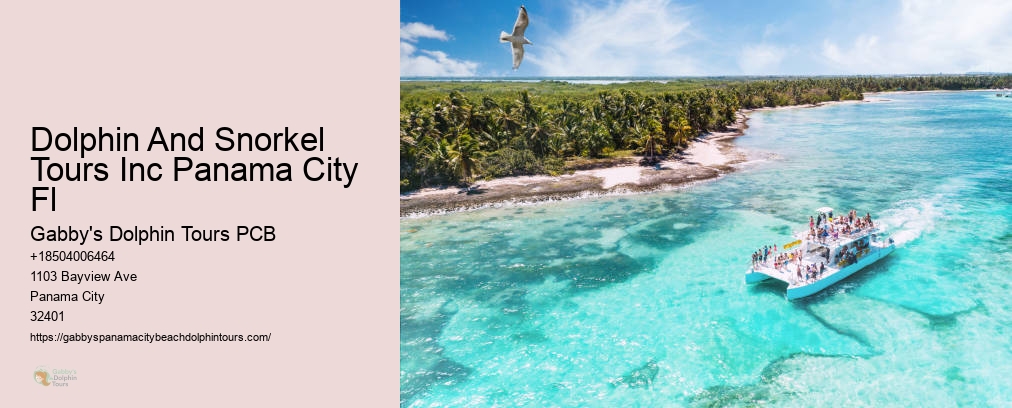 Tours To Shell Island In Panama City