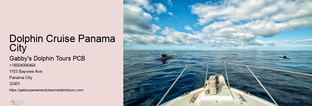 Panama City Beach Dolphin Tours & More Panama City Fl