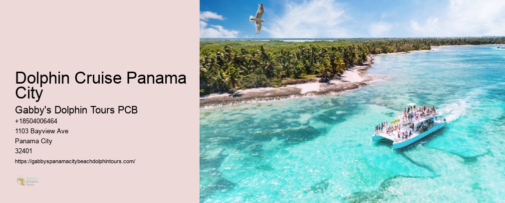 Panama City Snorkeling Shell Island