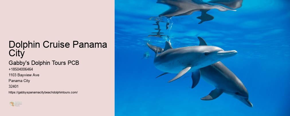 Panama City Dolphin Tours