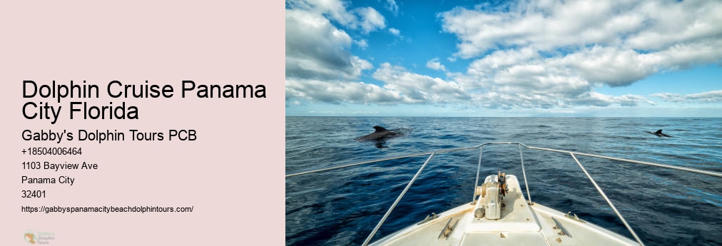 Swim With Dolphins Panama City