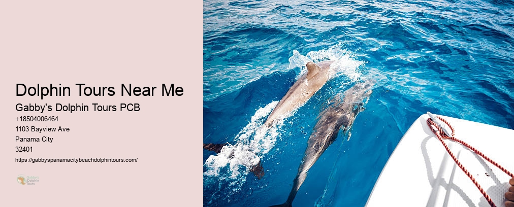 Dolphin Tours Near Me