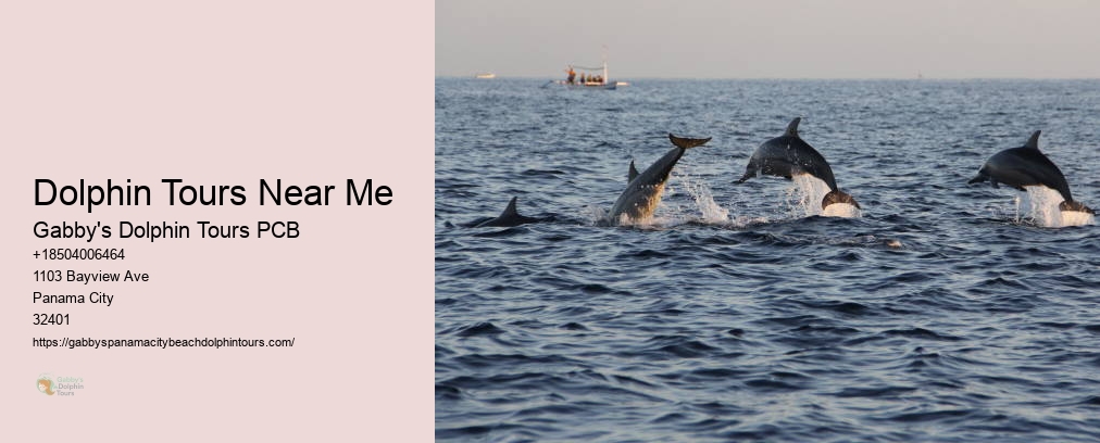 Gabby Dolphin Tours Panama City
