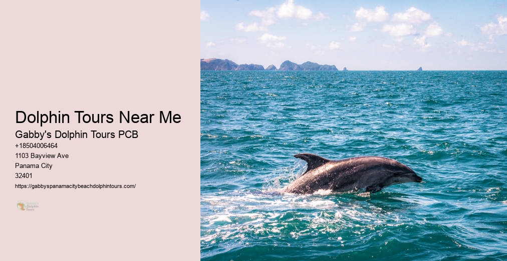 Dolphin Cruise Panama City