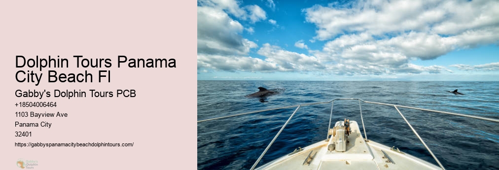 Panama City Dolphin Tours And More