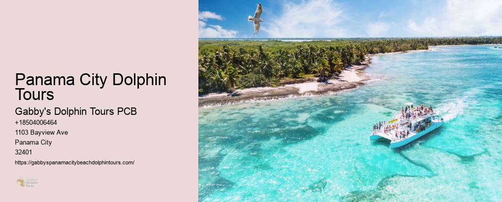 Tours To Shell Island In Panama City
