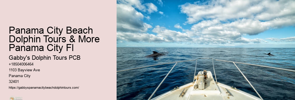Panama City Dolphin Tours