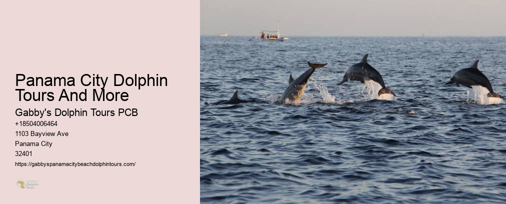 Gabby Dolphin Tours Panama City