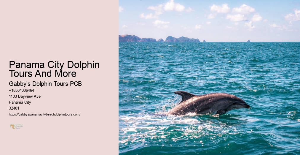Panama City Dolphin