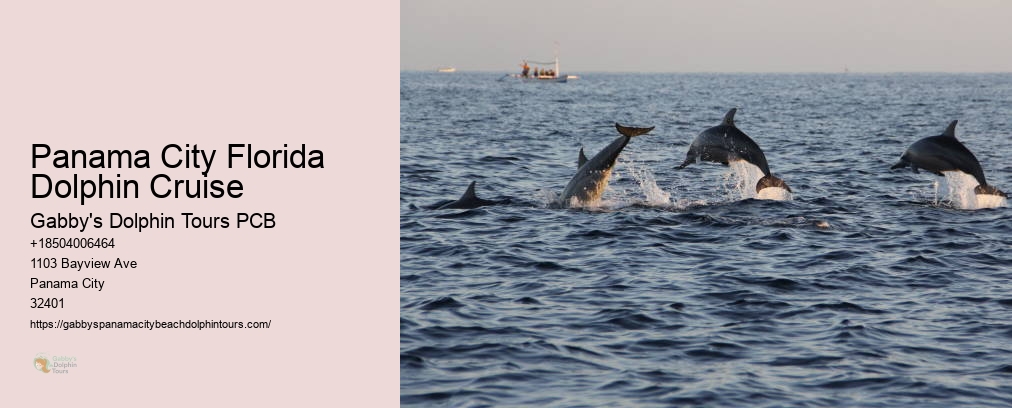 Gabby Dolphin Tours Panama City
