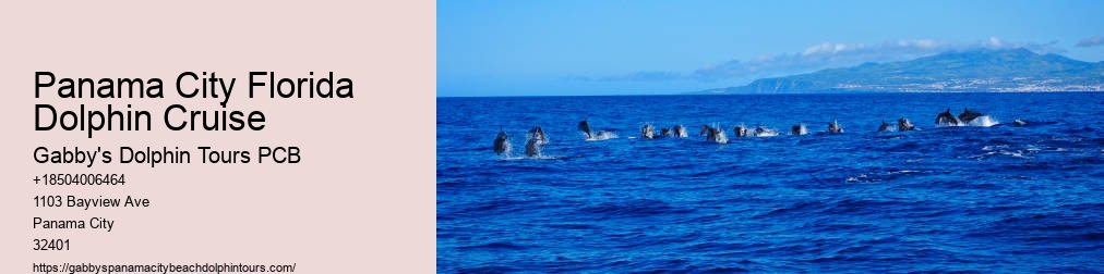 Swim With Dolphins Panama City