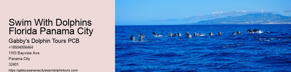 Tours To Shell Island In Panama City