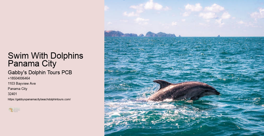 Gabby Dolphin Tours Panama City