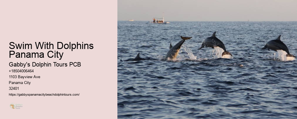 Dolphin Tours Near Me