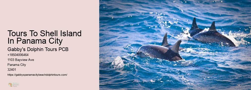 Dolphin And Snorkel Tours Inc Panama City Fl